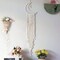 Dream Catcher with Handmade Moon & Star Design – Boho Macramé Wall Hanging in White, Woven Cotton Décor for Home, Ornament, or Gift Craft